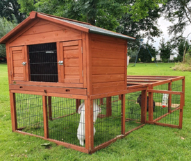 second hand guinea pig run